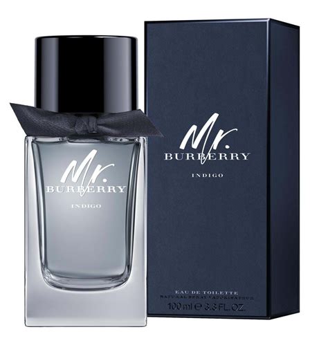 mr burberry duschgel|mr burberry indigo cologne reviews.